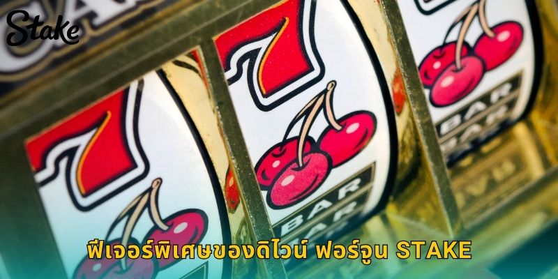 ฟีเจอร์พิเศษของดิไวน์ ฟอร์จูน STAKE